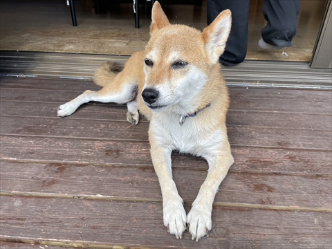 茅野市外壁カバー工法　お客様インタビュー